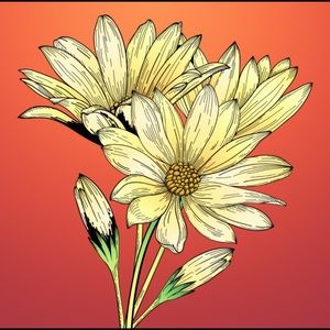 Meet your Posher, Makayla